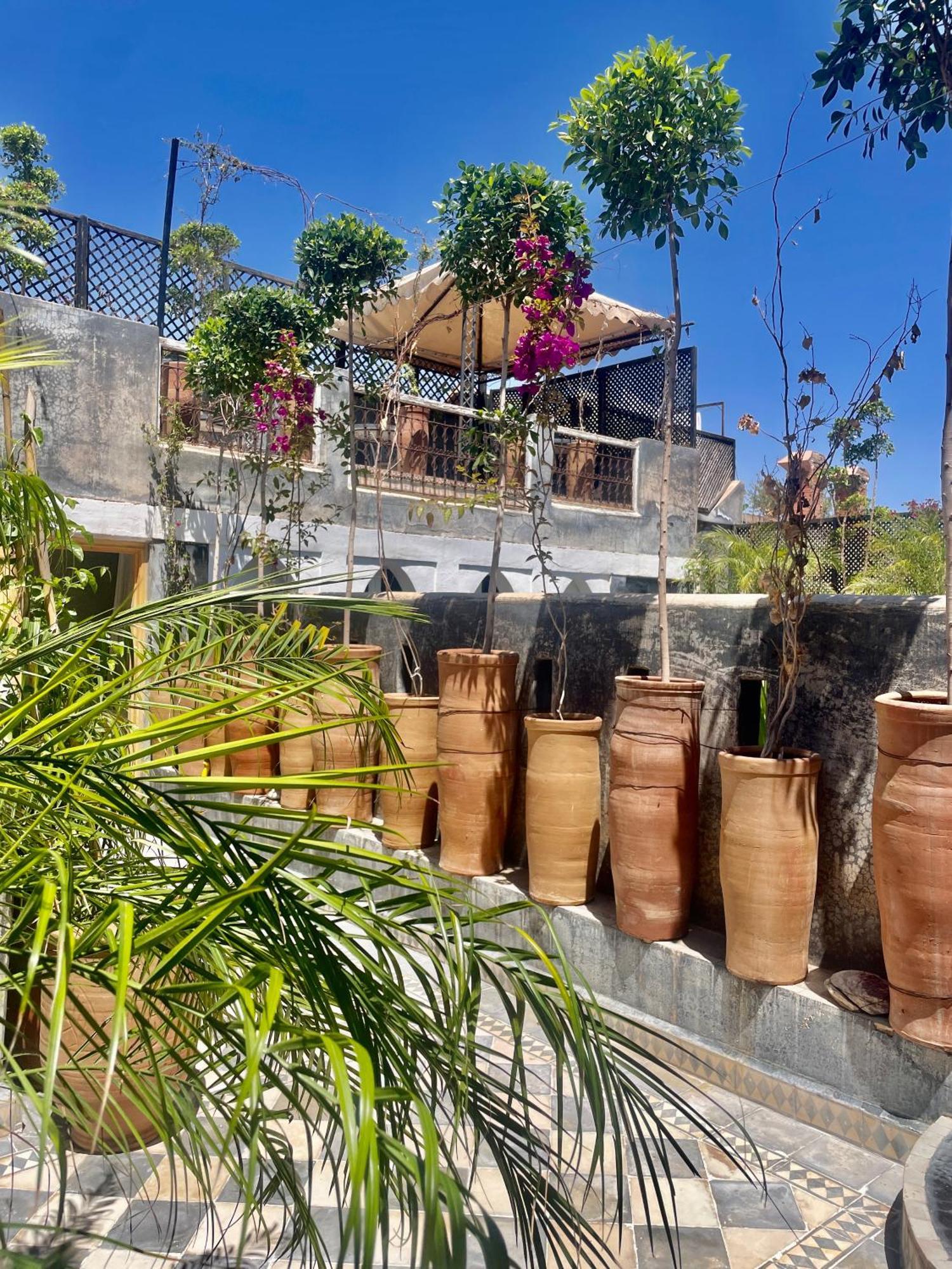 Riad Green Palm Marrákes Kültér fotó